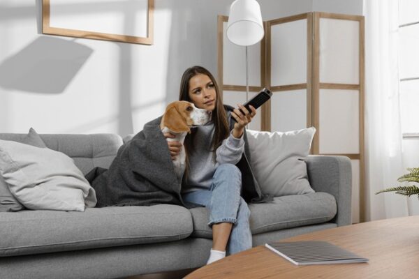 TV De Cachorro – “Companhia” Para O Seu Pet