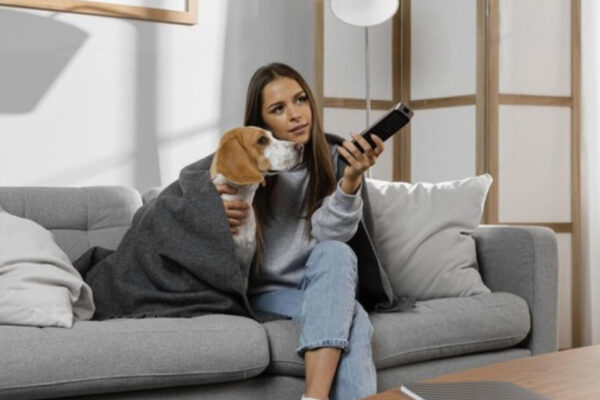 TV De Cachorro – Companhia Para O Seu Pet
