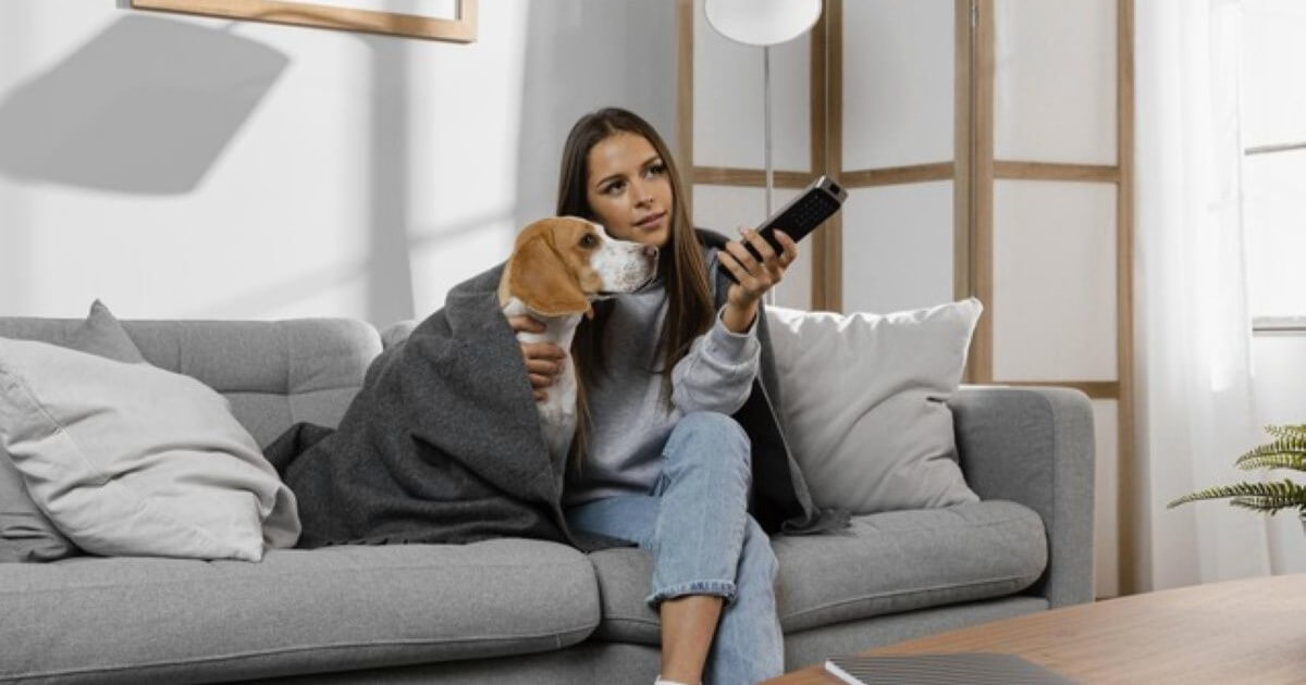 TV De Cachorro – Companhia Para O Seu Pet